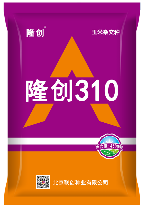 隆創310